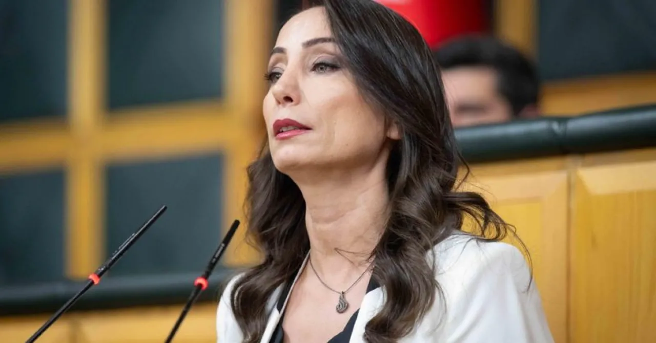 Öcalan'ın Özgürlük Koşulları Gündemde: Hatimoğulları'ndan Açıklama