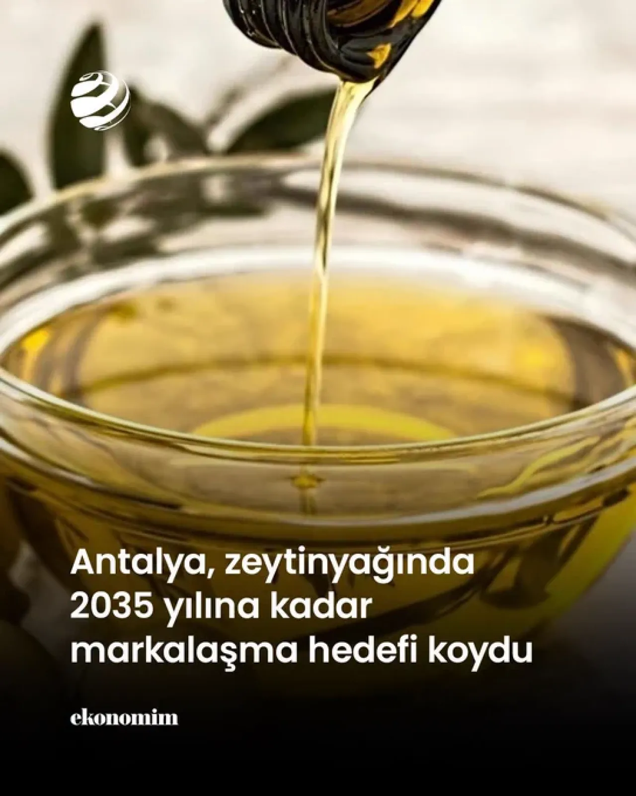 Antalya Zeytinyağı İçin Büyük Hedef: 2035'e Kadar Markalaşma Hamlesi Başlatıldı